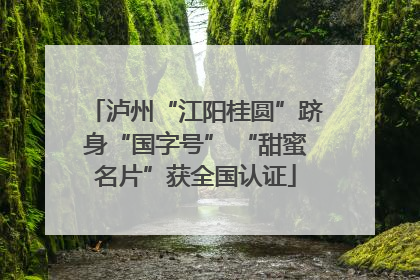 泸州“江阳桂圆”跻身“国字号” “甜蜜名片”获全国认证