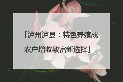 泸州泸县：特色养殖成农户增收致富新选择