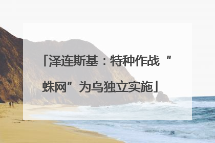 泽连斯基：特种作战“蛛网”为乌独立实施