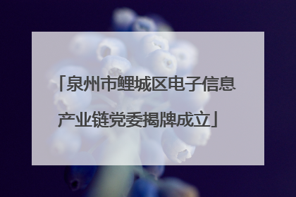 泉州市鲤城区电子信息产业链党委揭牌成立