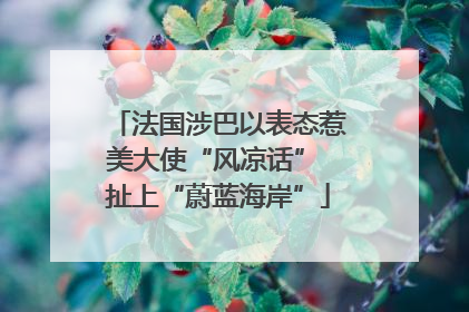 法国涉巴以表态惹美大使“风凉话” 扯上“蔚蓝海岸”