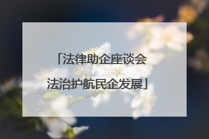 法律助企座谈会 法治护航民企发展