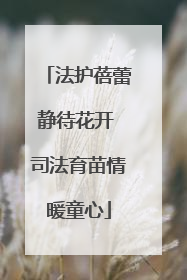 法护蓓蕾静待花开 司法育苗情暖童心