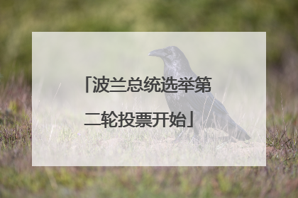 波兰总统选举第二轮投票开始