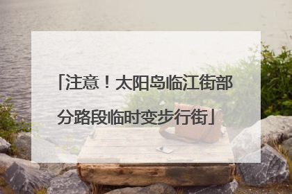注意！太阳岛临江街部分路段临时变步行街
