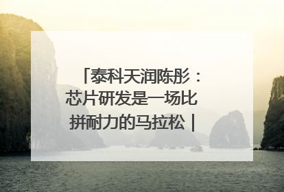 泰科天润陈彤：芯片研发是一场比拼耐力的马拉松｜湘商，向上⑤