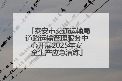 泰安市交通运输局道路运输管理服务中心开展2025年安全生产应急演练