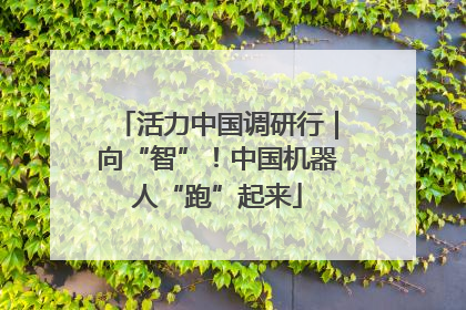 活力中国调研行｜向“智”！中国机器人“跑”起来