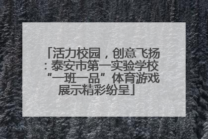 活力校园，创意飞扬：泰安市第一实验学校“一班一品”体育游戏展示精彩纷呈