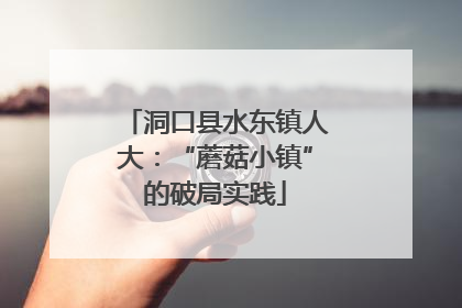 洞口县水东镇人大：“蘑菇小镇”的破局实践