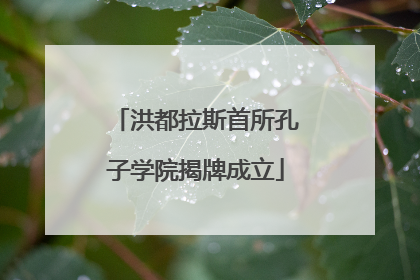 洪都拉斯首所孔子学院揭牌成立