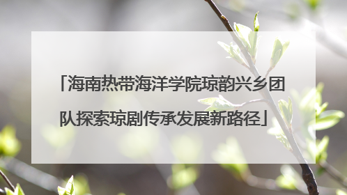 海南热带海洋学院琼韵兴乡团队探索琼剧传承发展新路径
