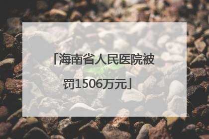 海南省人民医院被罚1506万元