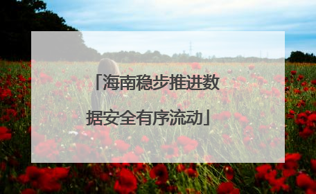 海南稳步推进数据安全有序流动