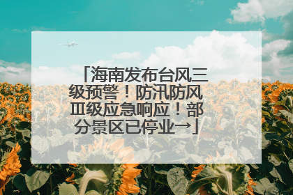海南发布台风三级预警！防汛防风Ⅲ级应急响应！部分景区已停业→