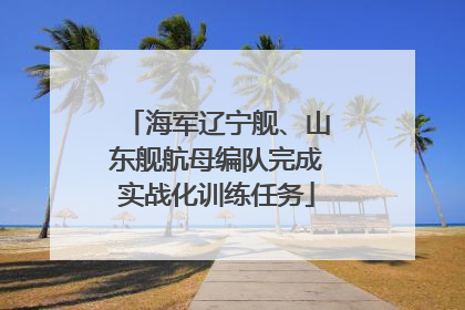 海军辽宁舰、山东舰航母编队完成实战化训练任务