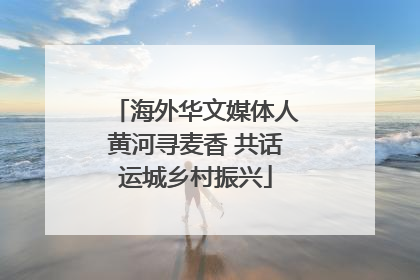 海外华文媒体人黄河寻麦香 共话运城乡村振兴