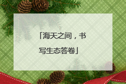海天之间，书写生态答卷