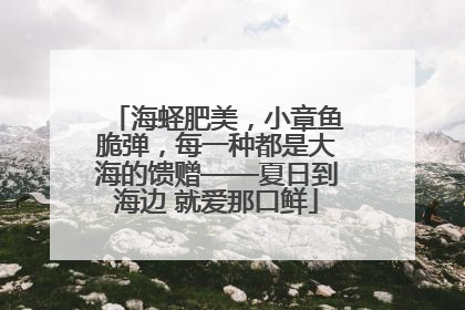 海蛏肥美，小章鱼脆弹，每一种都是大海的馈赠——夏日到海边 就爱那口鲜