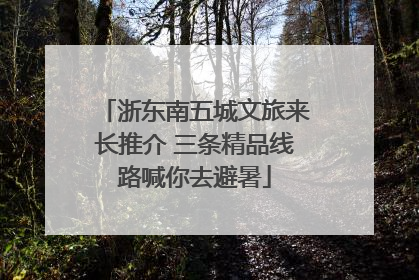 浙东南五城文旅来长推介 三条精品线路喊你去避暑