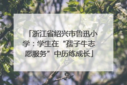 浙江省绍兴市鲁迅小学：学生在“孺子牛志愿服务”中历练成长