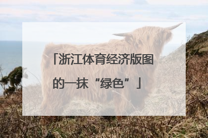 浙江体育经济版图的一抹“绿色”