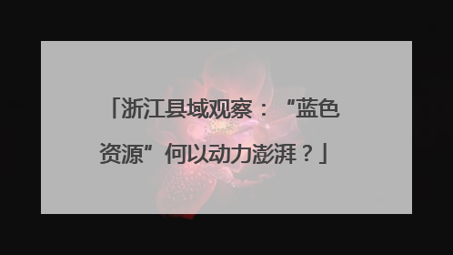 浙江县域观察：“蓝色资源”何以动力澎湃？