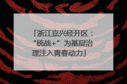 浙江嘉兴经开区：“统战+”为基层治理注入青春动力