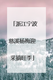 浙江宁波慈溪杨梅迎采摘旺季