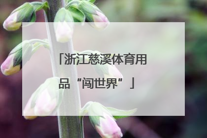 浙江慈溪体育用品“闯世界”