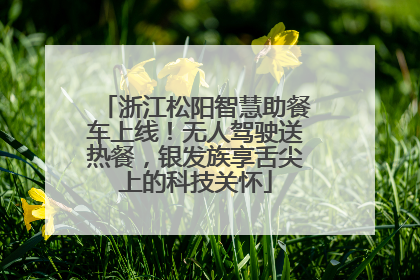 浙江松阳智慧助餐车上线！无人驾驶送热餐，银发族享舌尖上的科技关怀