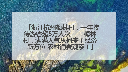 浙江杭州梅林村，一年接待游客超5万人次——梅林村，满满人气从何来（经济新方位·农村消费观察）