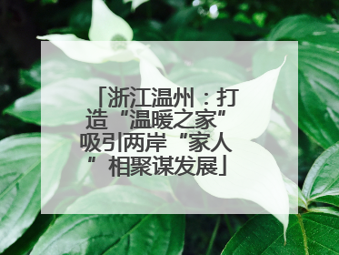 浙江温州：打造“温暖之家”吸引两岸“家人”相聚谋发展
