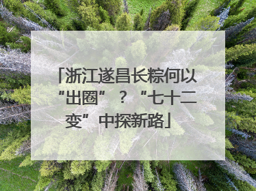 浙江遂昌长粽何以“出圈”？“七十二变”中探新路
