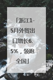 浙江1-5月外贸出口增长6.5%，领跑全国