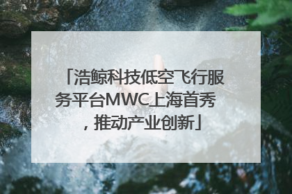 浩鲸科技低空飞行服务平台MWC上海首秀，推动产业创新