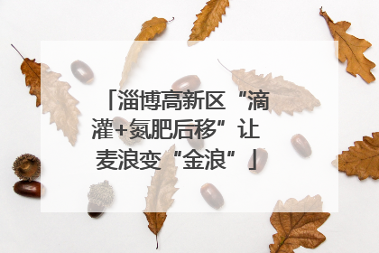 淄博高新区“滴灌+氮肥后移”让麦浪变“金浪”