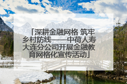 深耕金融网格 筑牢乡村防线——中荷人寿大连分公司开展金融教育网格化宣传活动