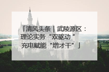清风头条｜武陵源区：理论实务“双驱动 ” 充电赋能“增才干”