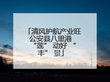 清风护航产业旺 公安县八里港 “莲” 动好 “丰” 景