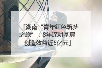 湖南“青年红色筑梦之旅”：8年深耕基层创造效益近5亿元