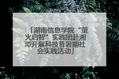 湖南信息学院“萤火启智”实践团赴湘潭开展科技普暑期社会实践活动
