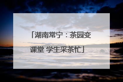 湖南常宁：茶园变课堂 学生采茶忙