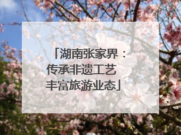 湖南张家界：传承非遗工艺 丰富旅游业态
