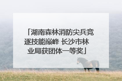 湖南森林消防尖兵竞逐技能巅峰 长沙市林业局获团体一等奖