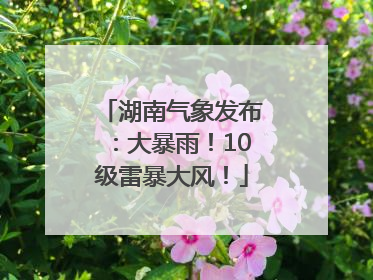 湖南气象发布：大暴雨！10级雷暴大风！