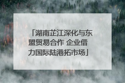 湖南芷江深化与东盟贸易合作 企业借力国际陆港拓市场