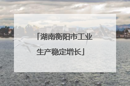 湖南衡阳市工业生产稳定增长