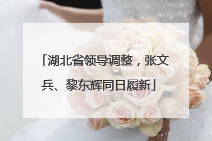 湖北省领导调整，张文兵、黎东辉同日履新