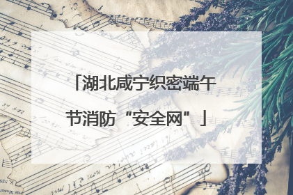 湖北咸宁织密端午节消防“安全网”